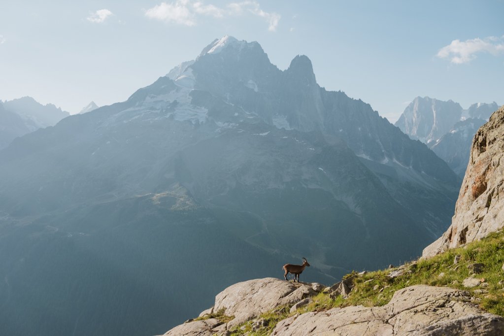 jana meerman lac blanc tour du mont blanc tmb france (1)