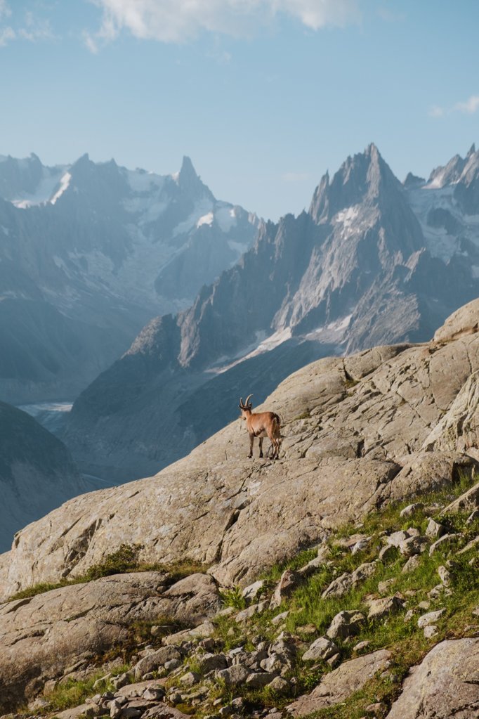 jana meerman lac blanc tour du mont blanc tmb france (1)