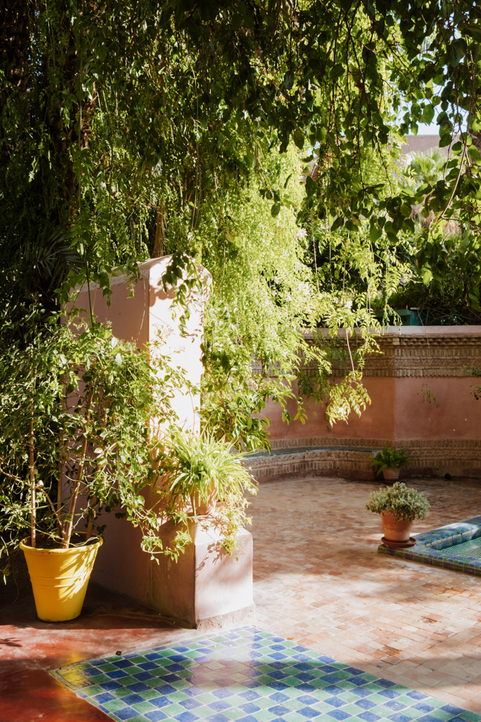 jana meerman marrakech morocco ysl garden museum (1)