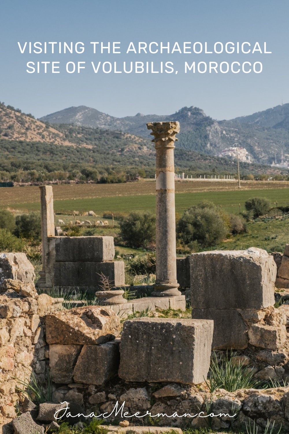 Volubilis (1)