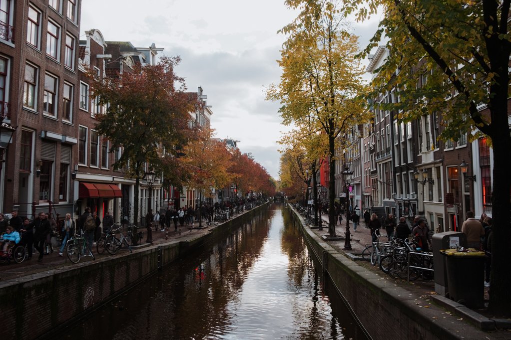 jana meerman amsterdam fall autumn netherlands (9)