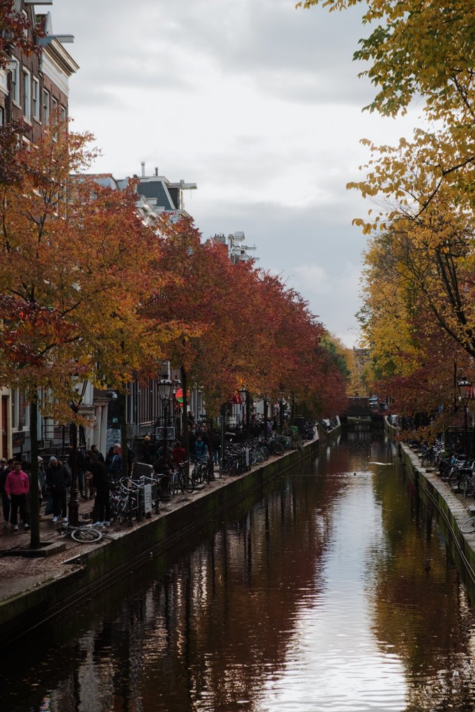 jana meerman amsterdam fall autumn netherlands (9)