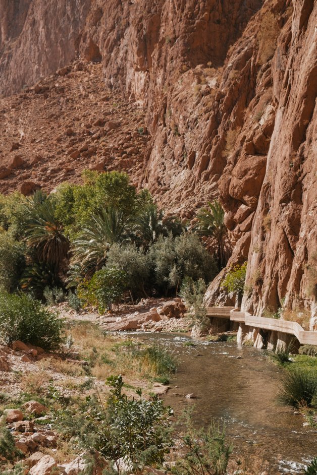 jana meerman todra gorge hike morocco (5)