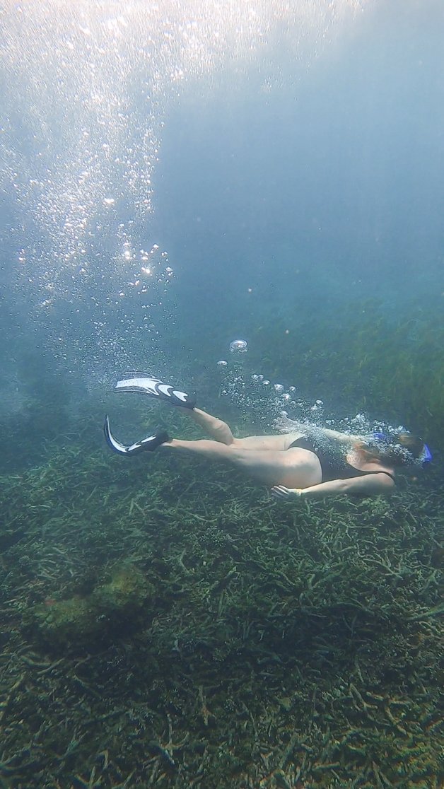 jana meerman snorkeling ko tao ko nang yuan thailand-09