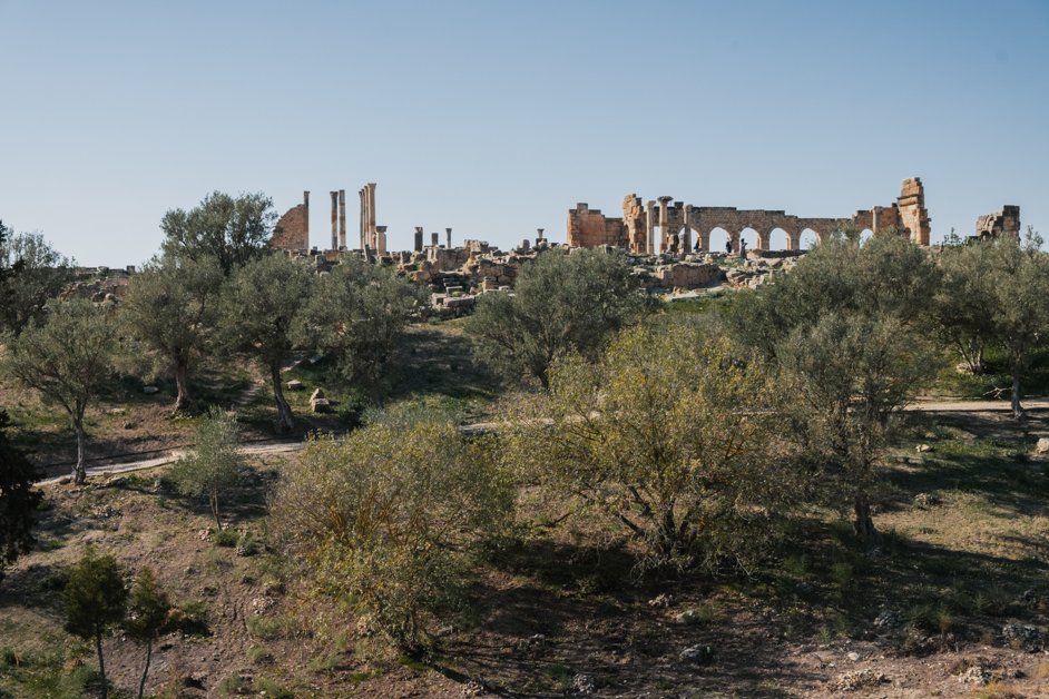 jana meerman volubilis morocco (1)