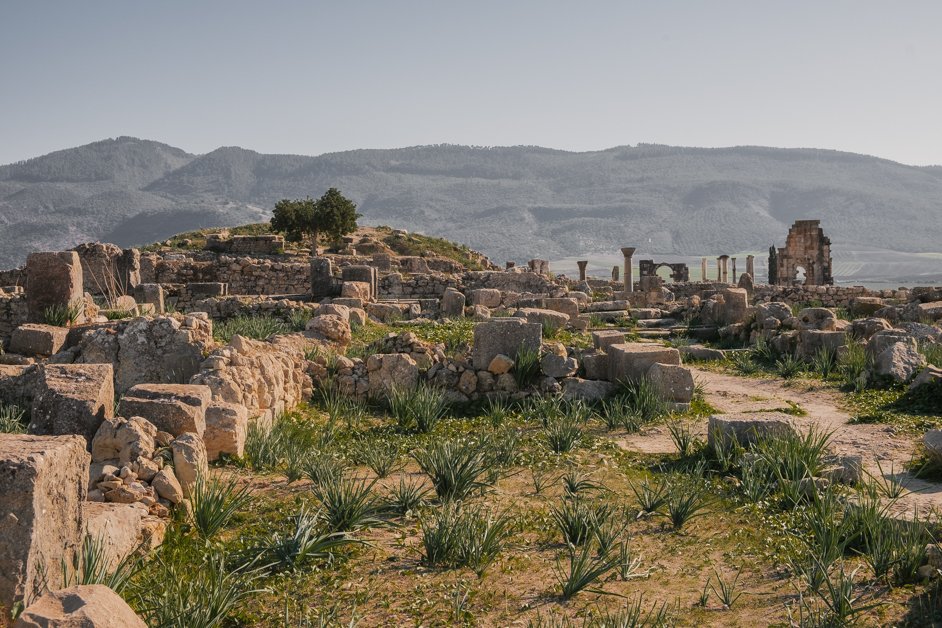 jana meerman volubilis morocco (9)