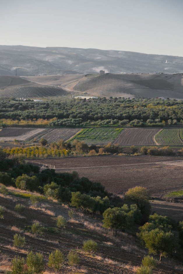 jana meerman volubilis morocco (9)