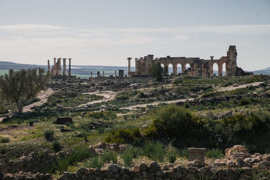 jana meerman volubilis morocco (1)