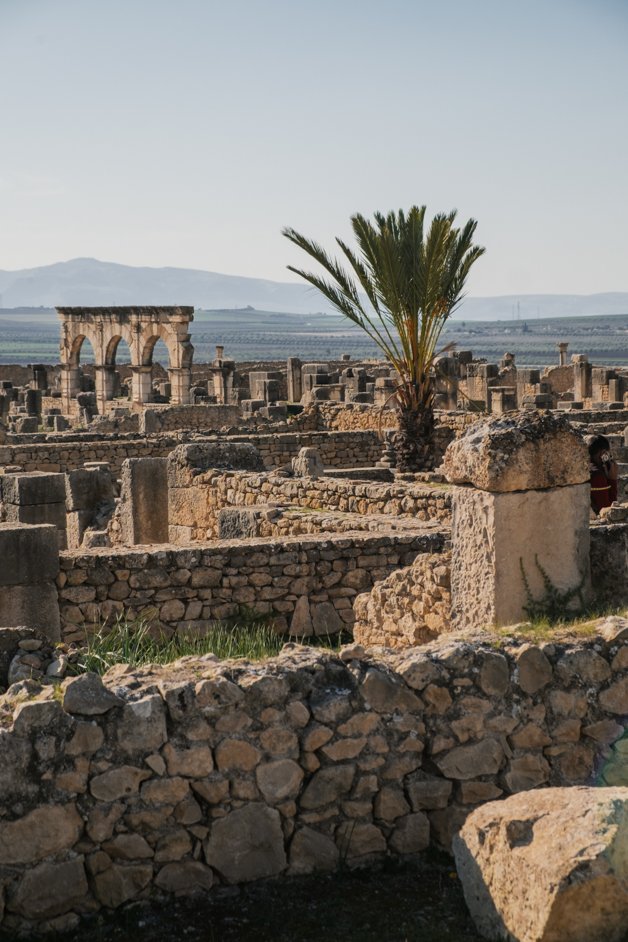 jana meerman volubilis morocco (9)