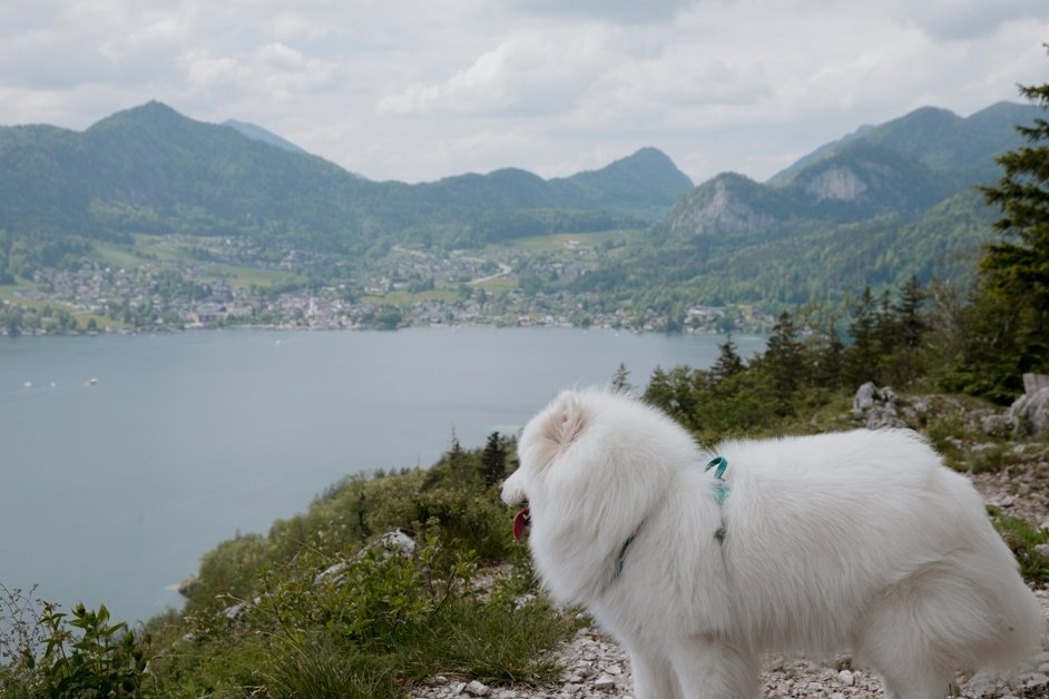 jana meerman falkenstein austria hike-070