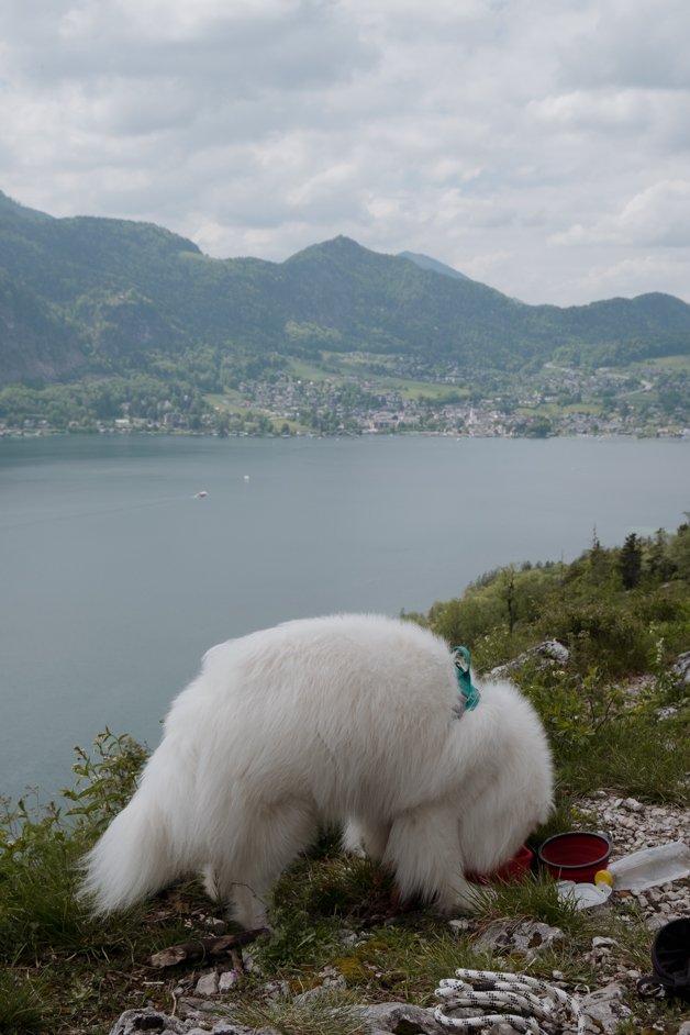 jana meerman falkenstein austria hike-070