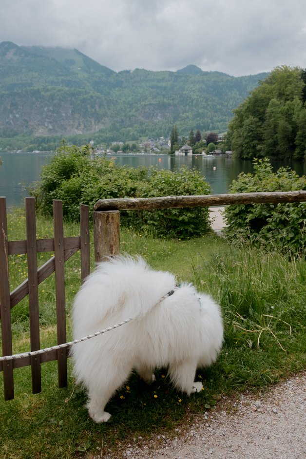 jana meerman falkenstein austria hike-129