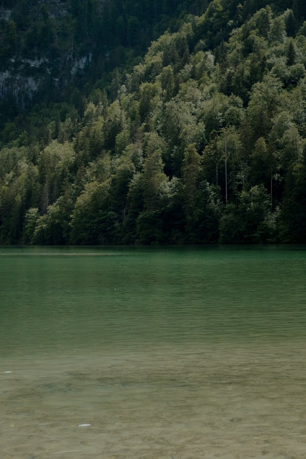 jana meerman hintersee berchtesgaden germany-013