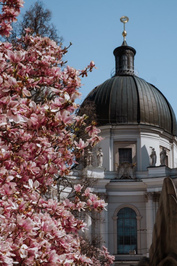 jana meerman magnolias salzburg austria (7)