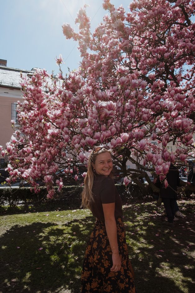 jana meerman magnolias salzburg austria (7)