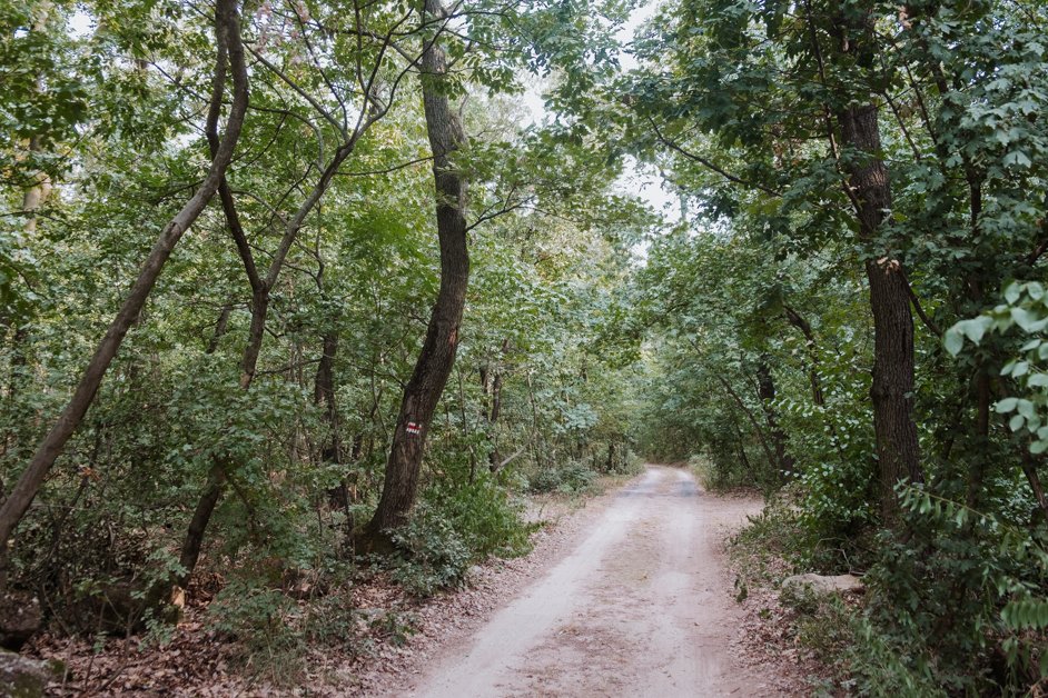 jana meerman Fülöp-hegyi Millenniumi kilátó Hike revfulop lake balaton hungary-09