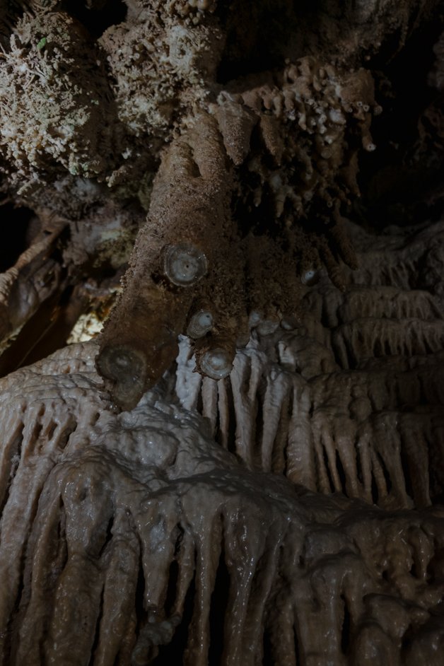 jana meerman Resavska pećina cave serbia-7