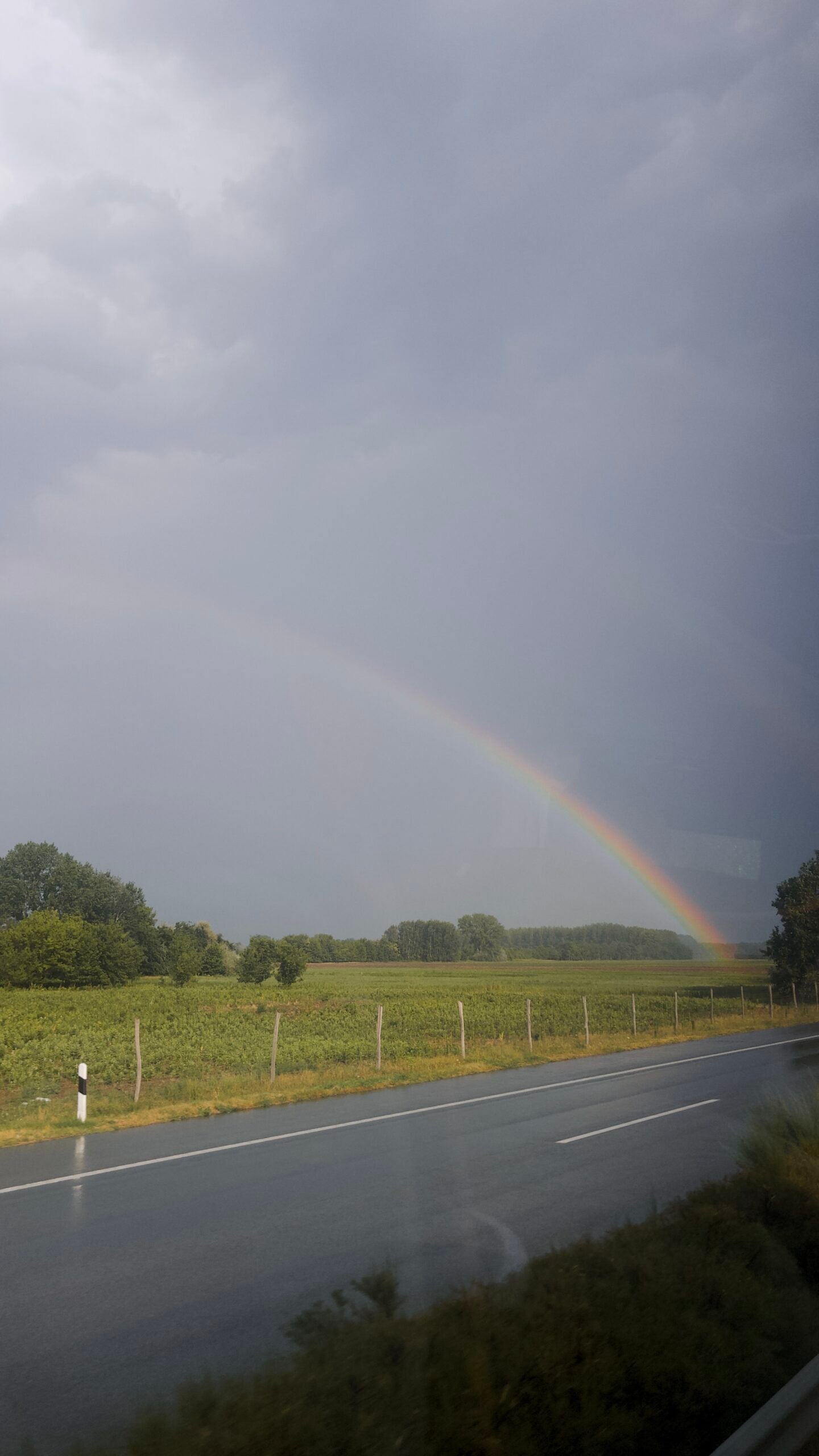 jana meerman hungary rainbow