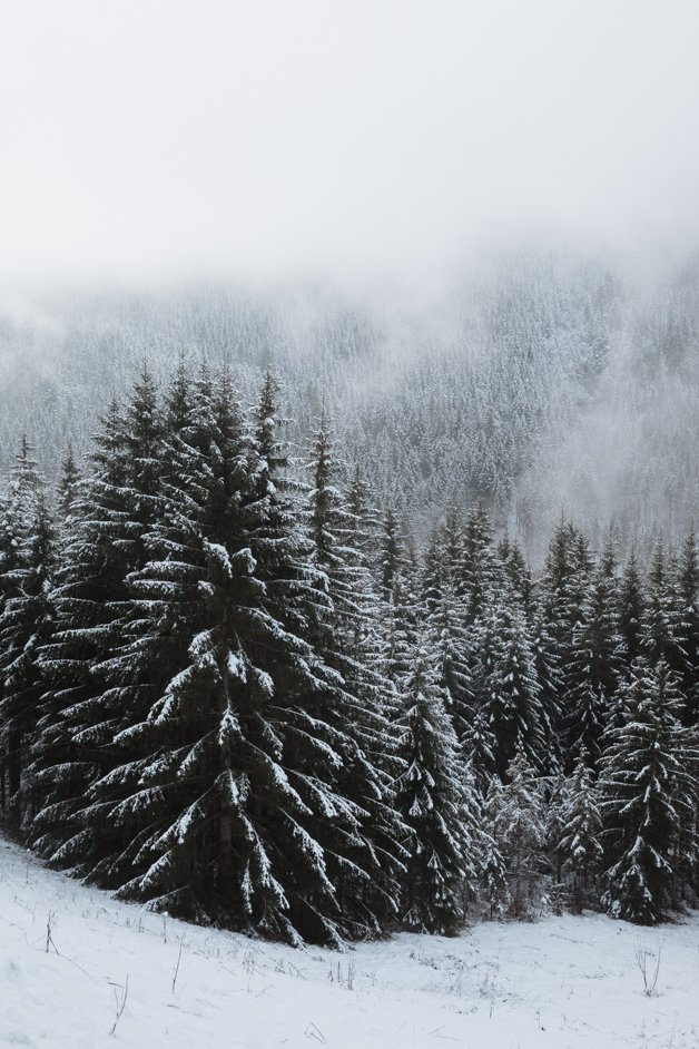 jana meerman gruner see styria austria snow winter-29