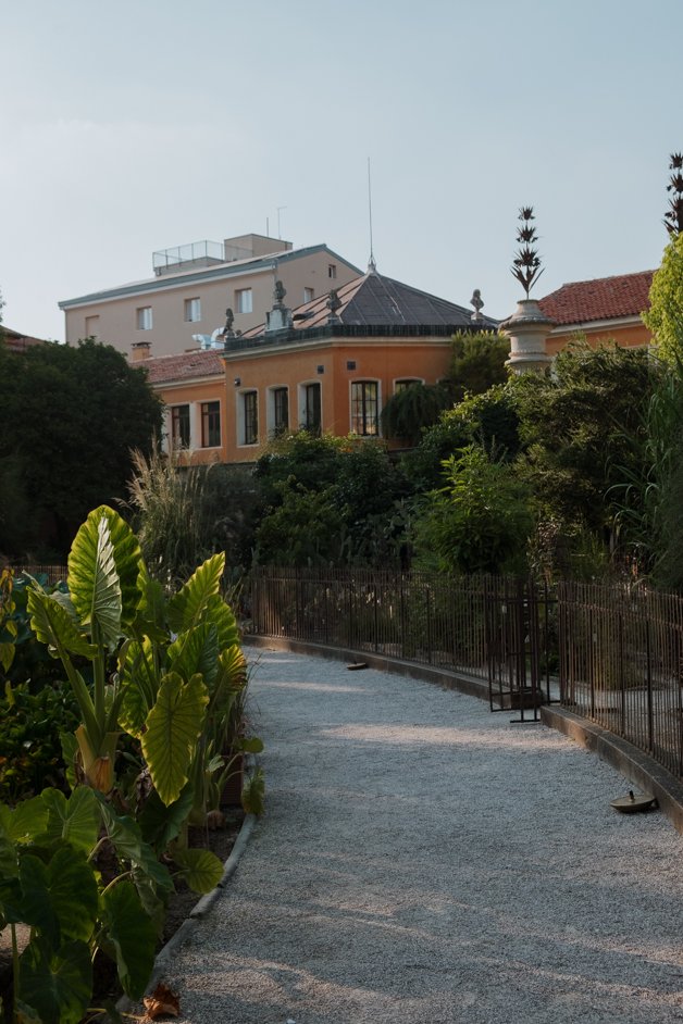 jana meerman padua orto botanico botanical garden italy-43