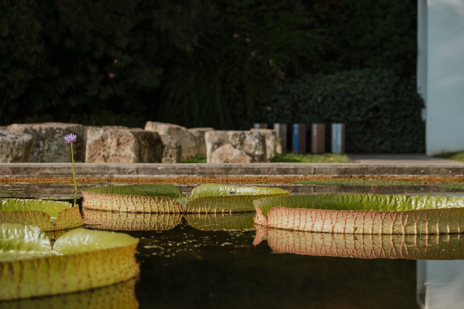 jana meerman padua orto botanico botanical garden italy-43