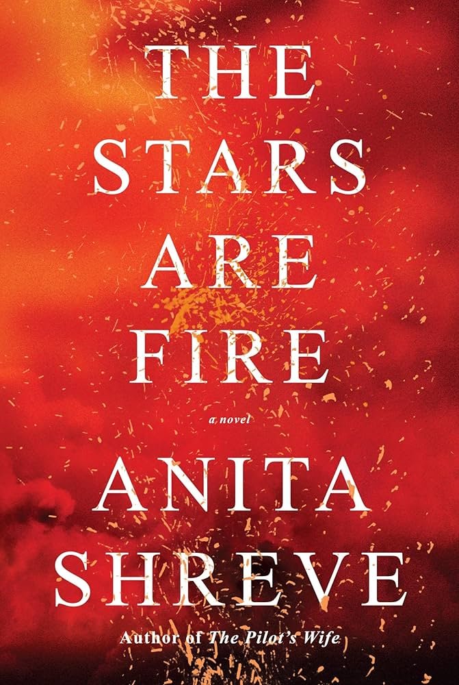 jana meerman the stars are fire anita shreve