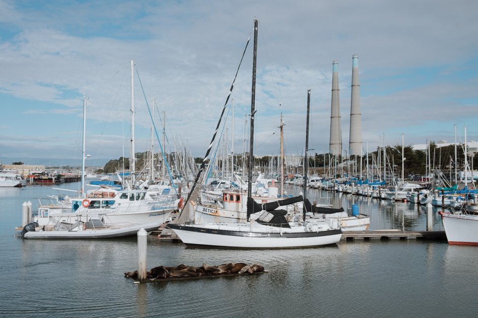 Moss Landing Photo Diary