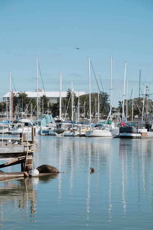 jana meerman moss landing monterey california-22