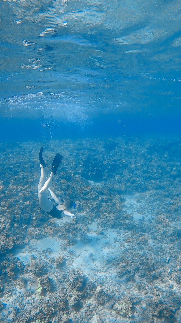 jana meerman snorkeling coiba national park panama santa catalina-08