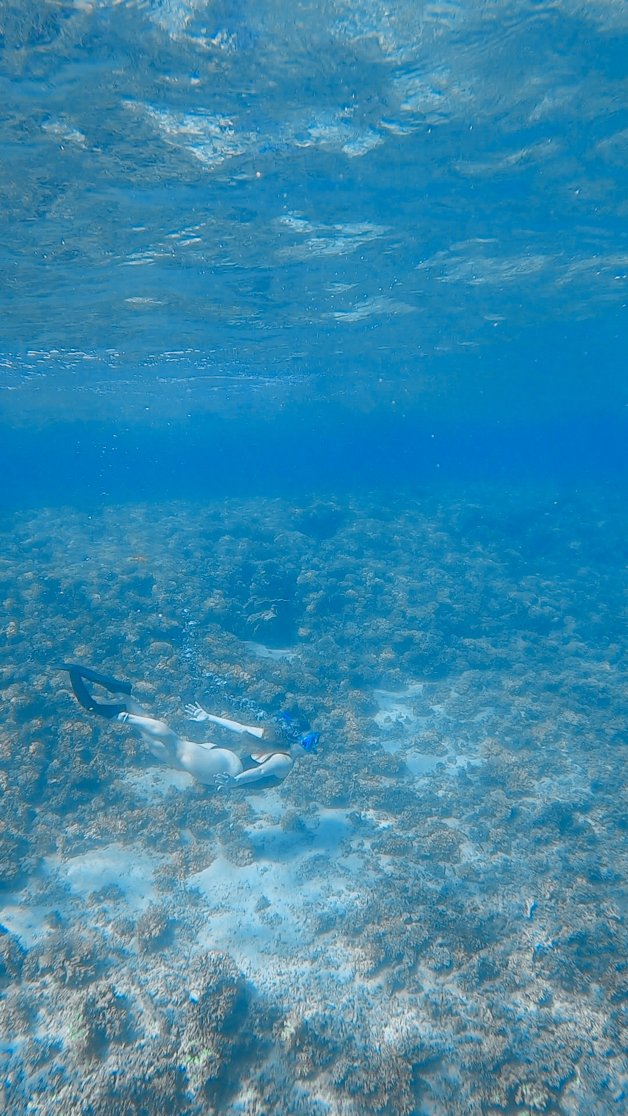 jana meerman snorkeling coiba national park panama santa catalina-08