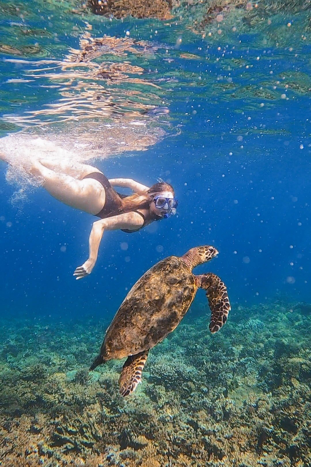jana meerman snorkeling coiba national park panama santa catalina