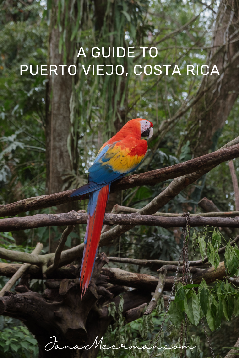 puerto viejo (1)