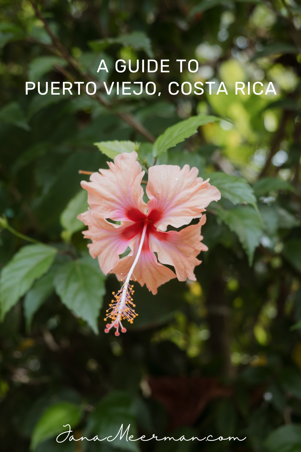 puerto viejo (1)