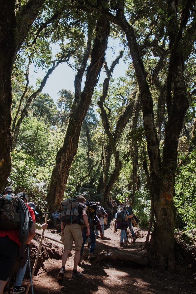 jana meerman acatenango fuego volcano hike guatemala-090