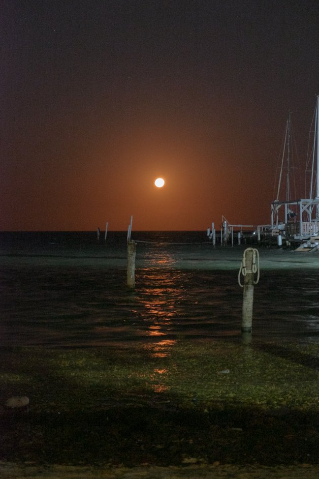 jana meerman caye caulker belize-06
