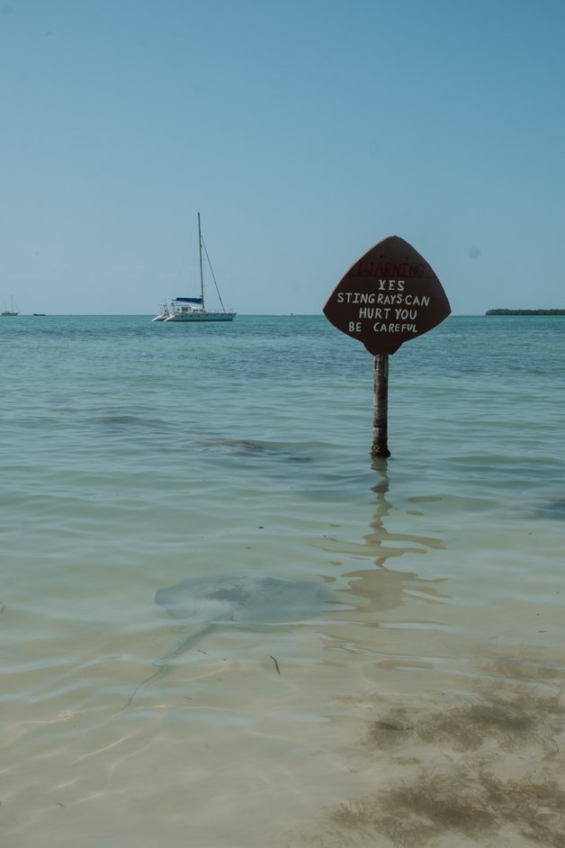 jana meerman caye caulker belize-114