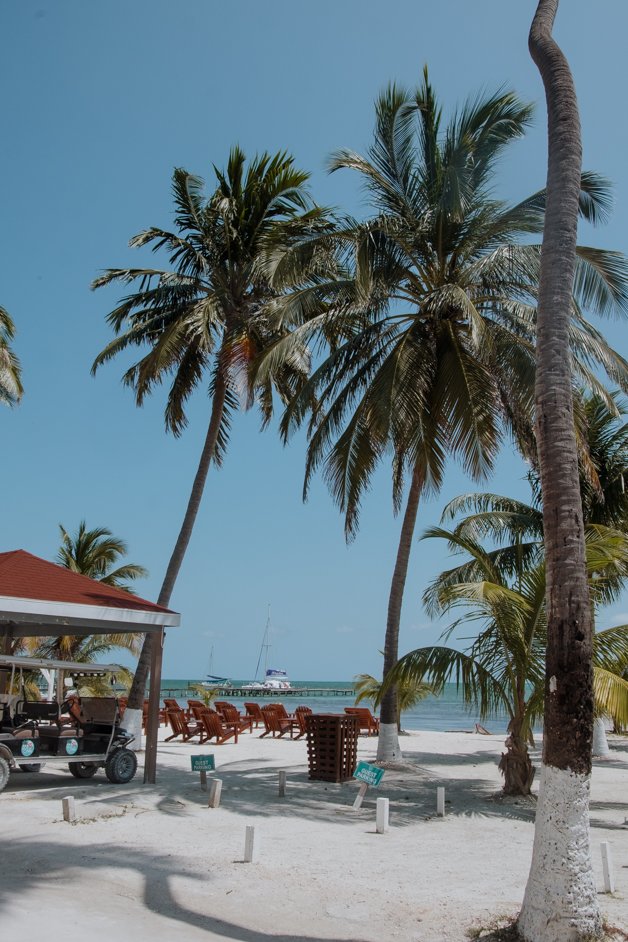 jana meerman caye caulker belize-159