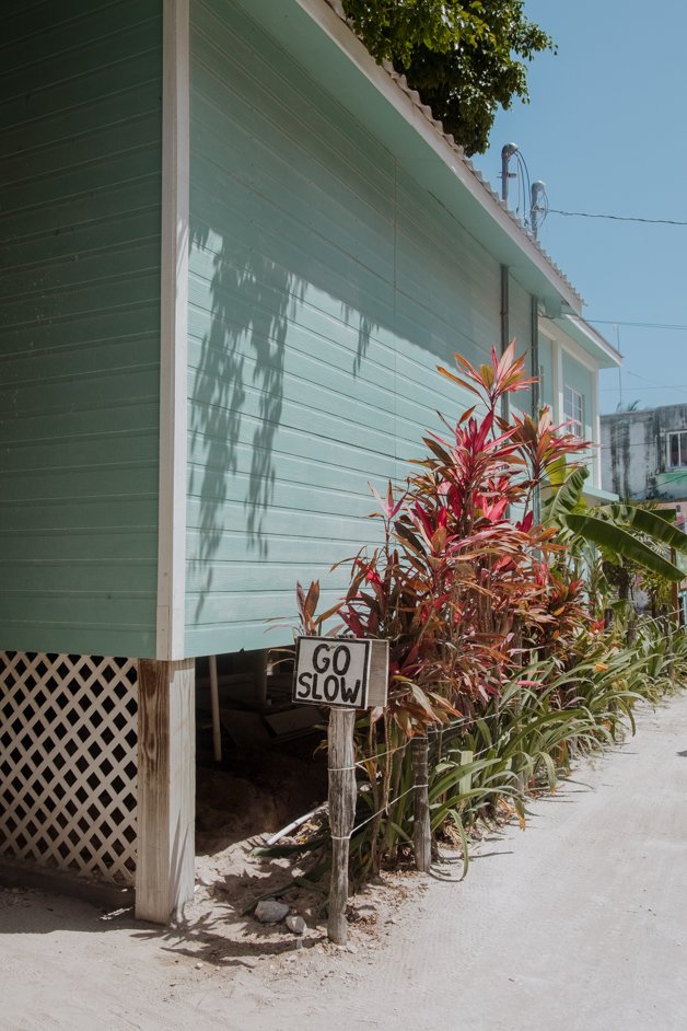 jana meerman caye caulker belize-159