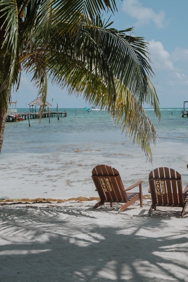 jana meerman caye caulker belize-159