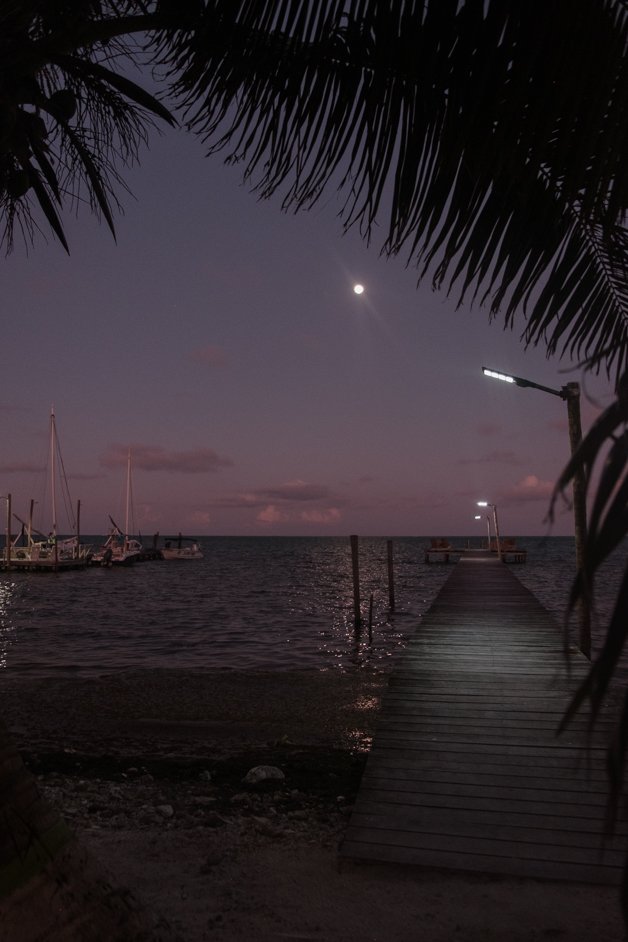 jana meerman caye caulker belize-06
