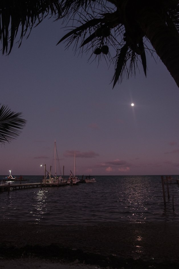 jana meerman caye caulker belize-47
