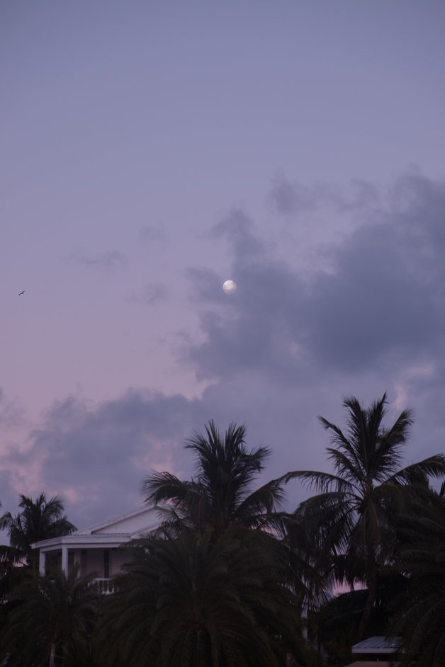 jana meerman caye caulker belize-47