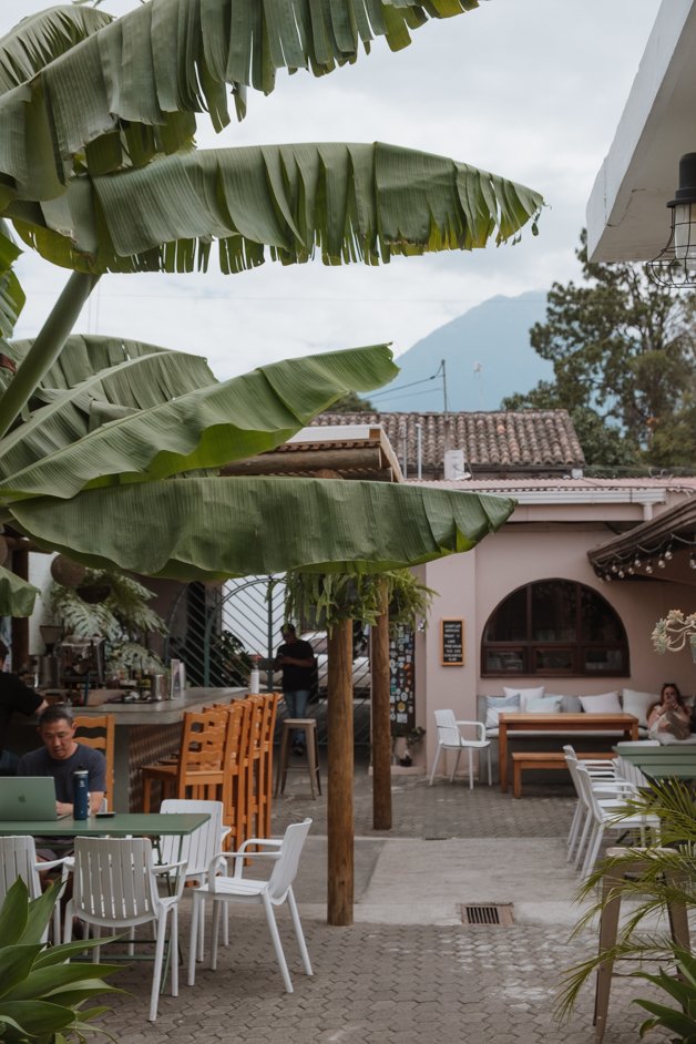 jana meerman maya papaya hostel antigua guatemala (1)