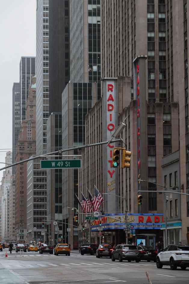 jana meerman nyc new york city usa united states-43