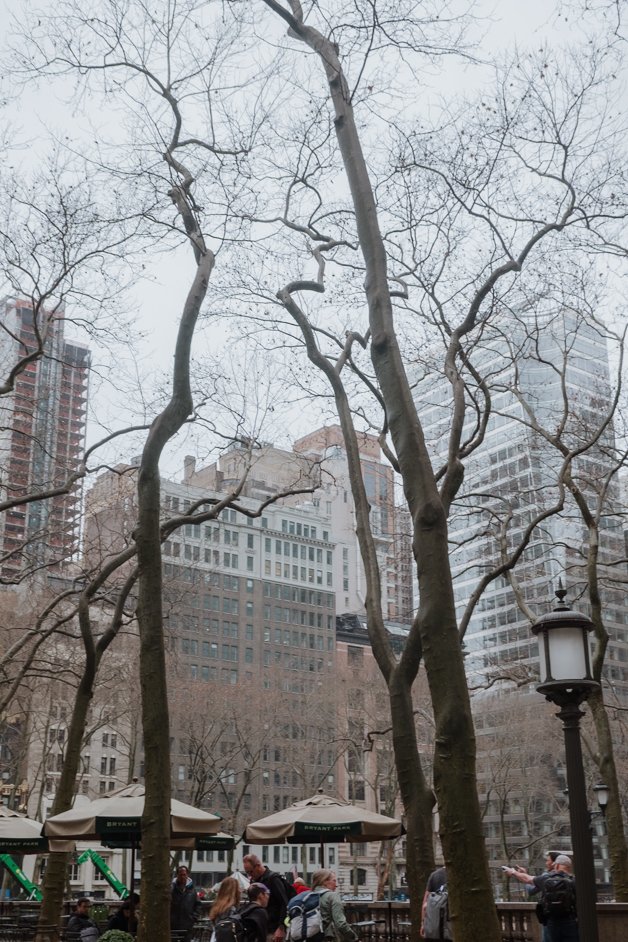 jana meerman nyc new york city usa united states-43