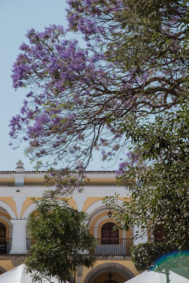 jana meerman parque central de antigua guatemala-04