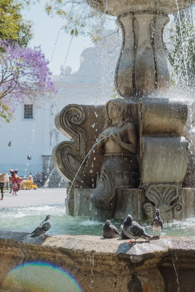 jana meerman parque central de antigua guatemala-04
