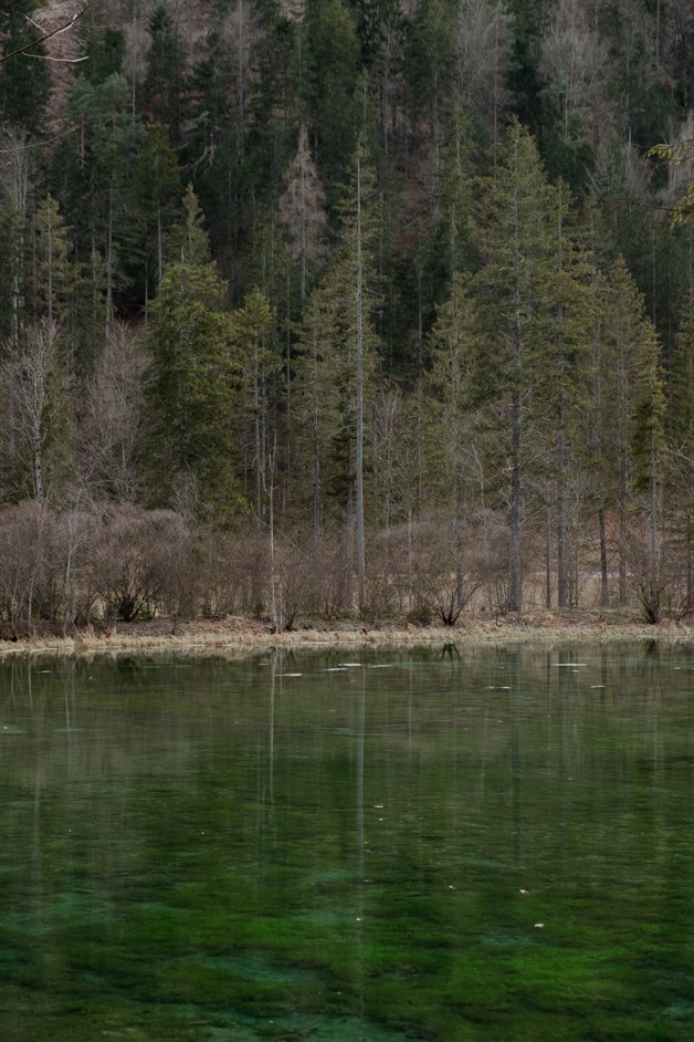 jana meerman schiederweiher lake austria-47