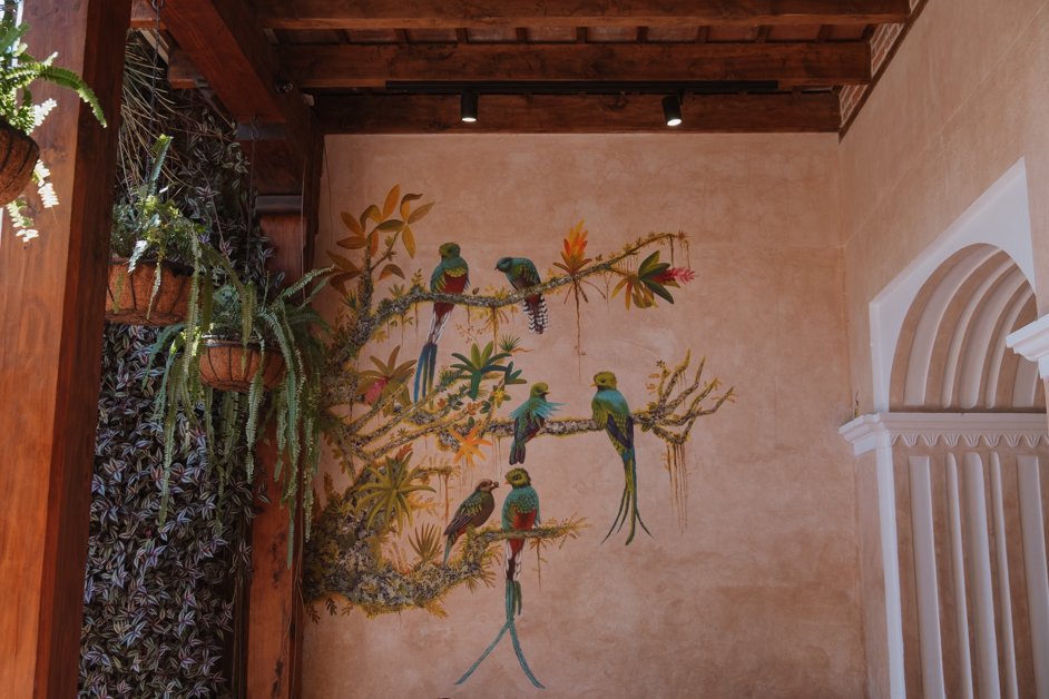 jana meerman starbucks antigua guatemala-12