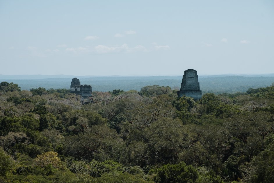 jana meerman tikal mayan ruins flores guatemala-53